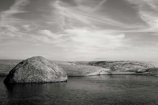 Tableau nature noir et blanc