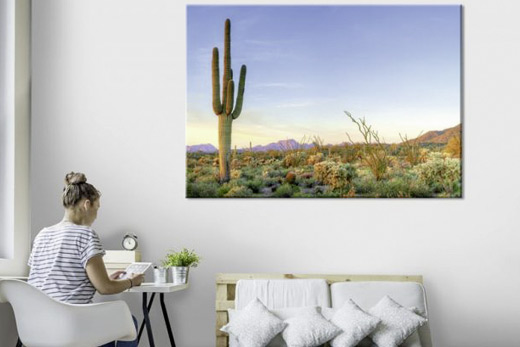 Sorona desert canvas print