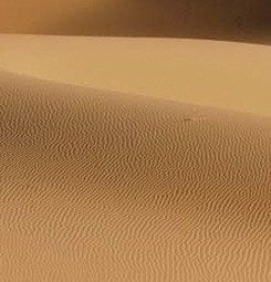 Photo of the desert