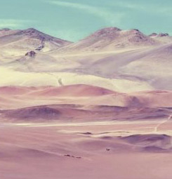Desert canvas print