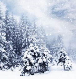 Snowy landscape at Christmas wallpaper