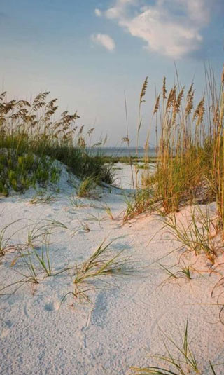 Beach poster