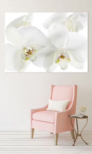 Tableau orchidée blanche
