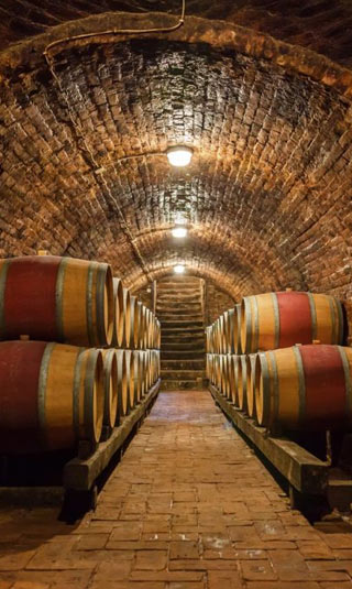 Wine cellar hanging in perspective
