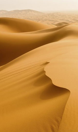Tableau désert du Sahara
