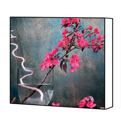 Zen Wall Art & Canvas Prints